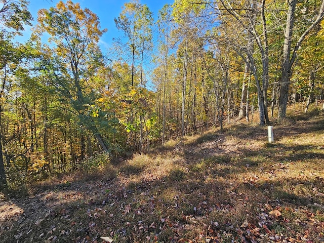 38 Trophy Buck Pt, Murphy, NC 28906