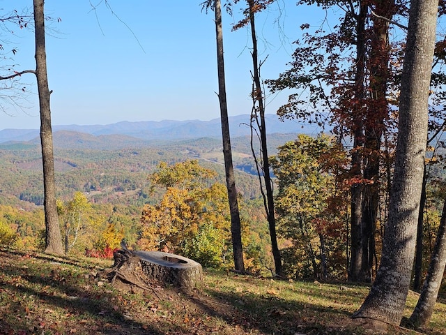 38 Trophy Buck Pt, Murphy, NC 28906