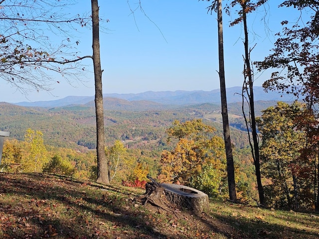 38 Trophy Buck Pt, Murphy, NC 28906