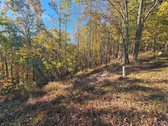 38 Trophy Buck Pt, Murphy, NC 28906