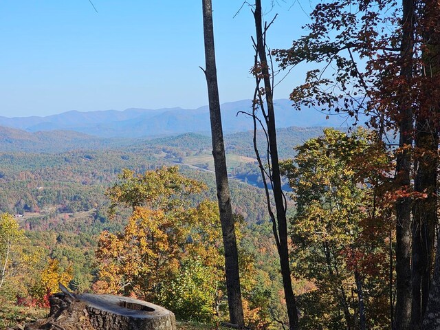 38 Trophy Buck Pt, Murphy, NC 28906