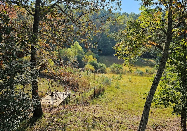 view of local wilderness