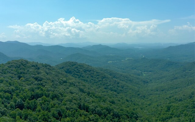 101AC Loris Mtn, Hayesville NC, 28904 land for sale