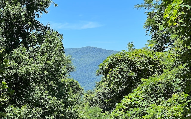 Listing photo 2 for 101AC Loris Mtn, Hayesville NC 28904