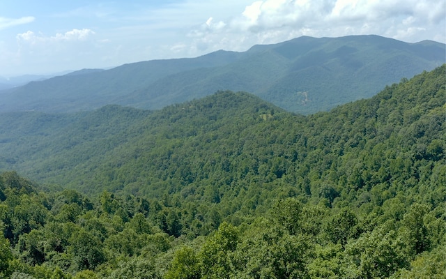 Listing photo 3 for 101AC Loris Mtn, Hayesville NC 28904