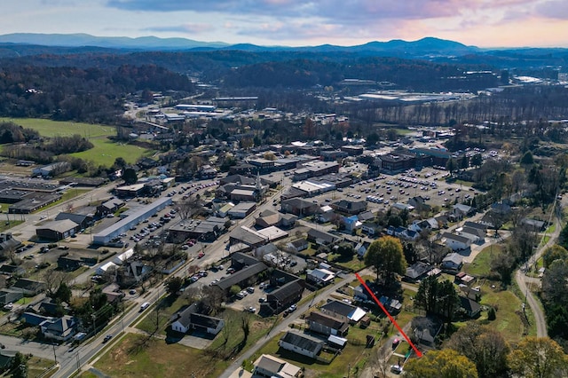 birds eye view of property featuring a mountain view