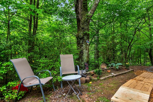 338 Canter Ct, Ellijay, GA 30540 - view of yard featuring a view of trees
