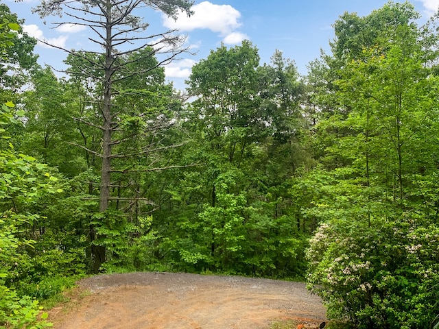 338 Canter Ct, Ellijay, GA 30540 - view of woods