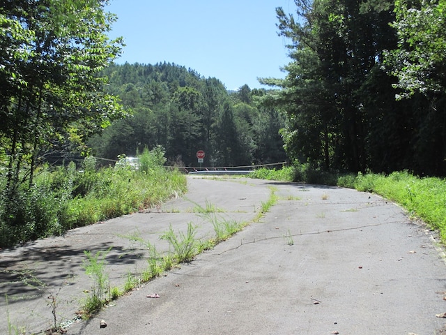 00 Hwy 515, Ellijay, GA 30540