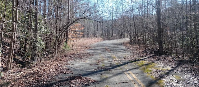 00 Hwy 515, Ellijay, GA 30540