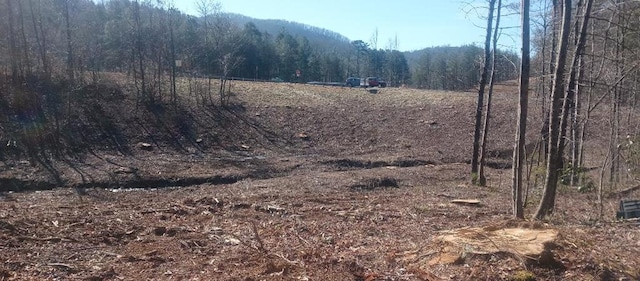 00 Hwy 515, Ellijay, GA 30540