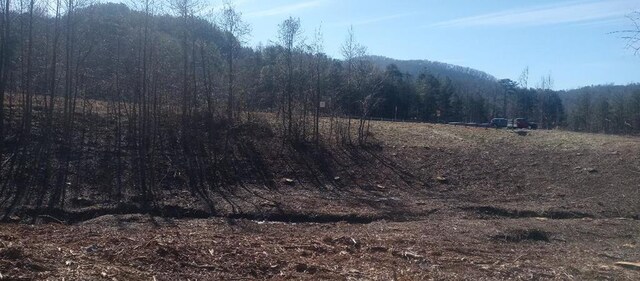 00 Hwy 515, Ellijay, GA 30540
