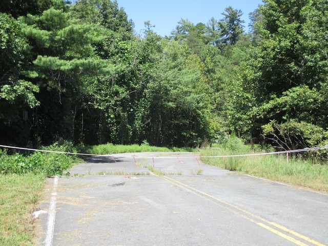 00 Hwy 515, Ellijay, GA 30540