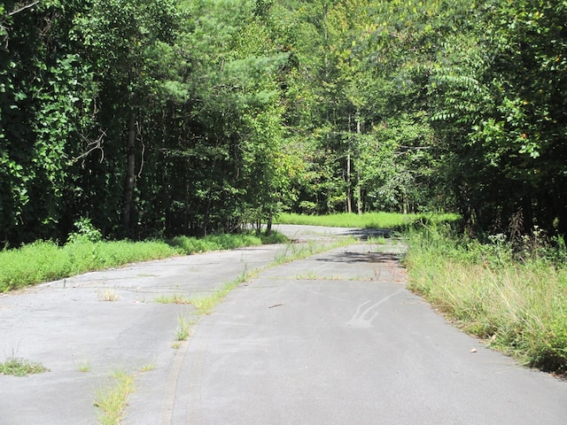 00 Hwy 515, Ellijay, GA 30540