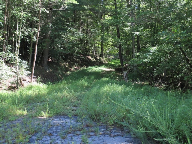 00 Hwy 515, Ellijay, GA 30540