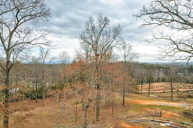 view of local wilderness featuring a forest view