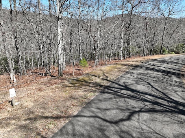 206 Northview Pkwy, Ellijay GA, 30536 land for sale