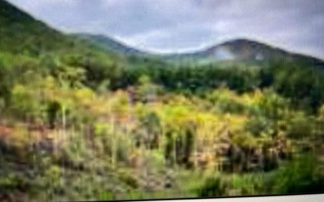 Listing photo 2 for 0 Trackrock Gap Rd, Blairsville GA 30512