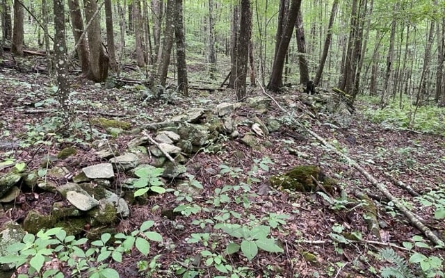 Listing photo 3 for 0 Trackrock Gap Rd, Blairsville GA 30512