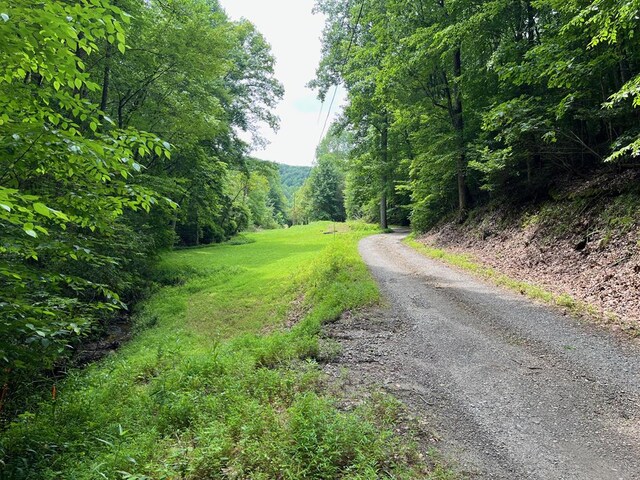 33.4AC Caldwell Rd, Brasstown NC, 28902 land for sale