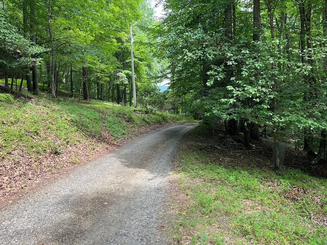 Listing photo 2 for 33.4AC Caldwell Rd, Brasstown NC 28902