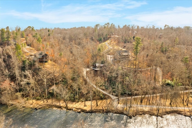 aerial view with a view of trees