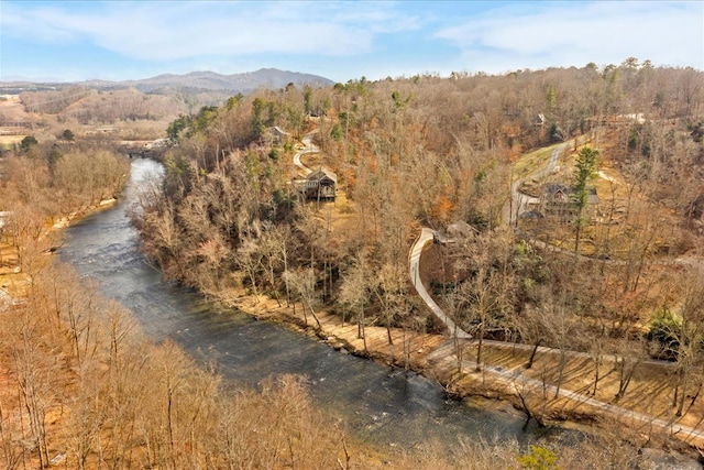 bird's eye view featuring a mountain view and a view of trees