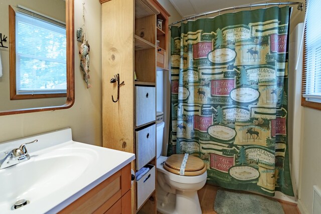 bathroom featuring toilet, a wealth of natural light, and vanity