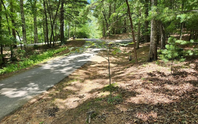 Listing photo 3 for 0 Autumn Ln, Blairsville GA 30512