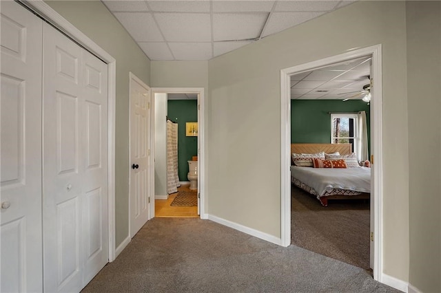 corridor featuring a drop ceiling and carpet floors