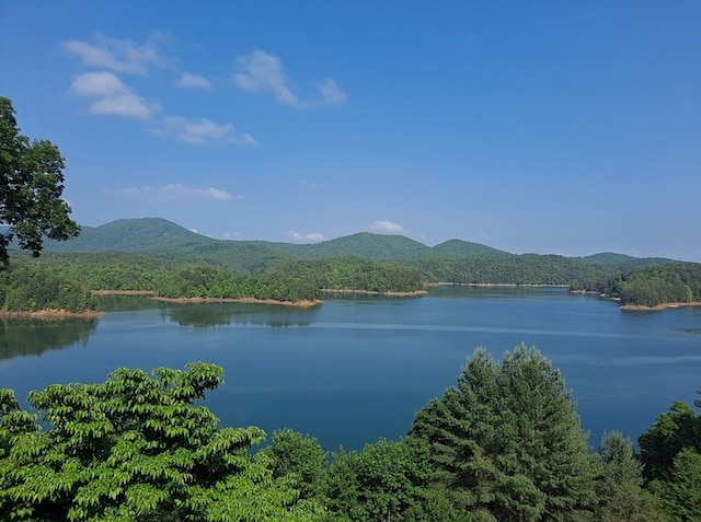 water view featuring a heavily wooded area and a mountainous background