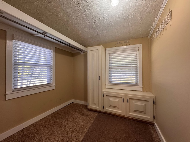 interior space featuring dark colored carpet