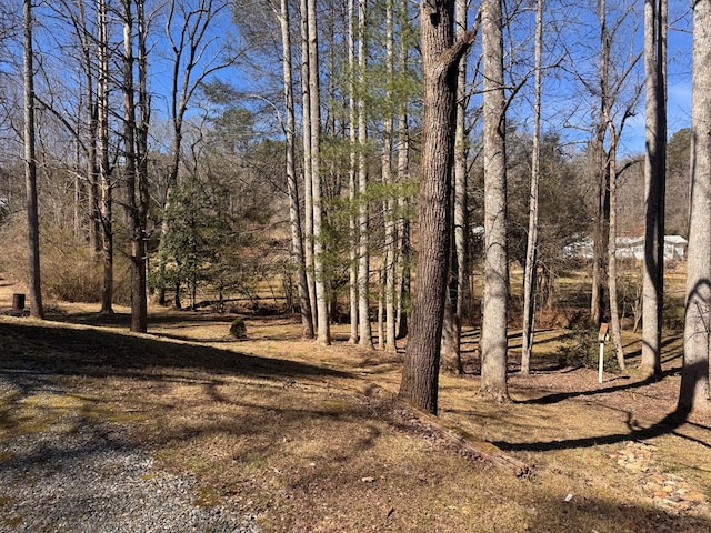 view of local wilderness