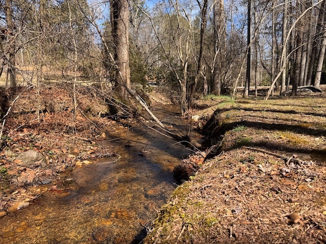 view of nature with a wooded view