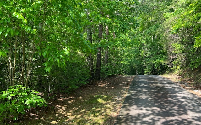 LOT4 Chestnut Oaks Dr, Murphy NC, 28906 land for sale