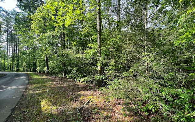 Listing photo 2 for LOT4 Chestnut Oaks Dr, Murphy NC 28906