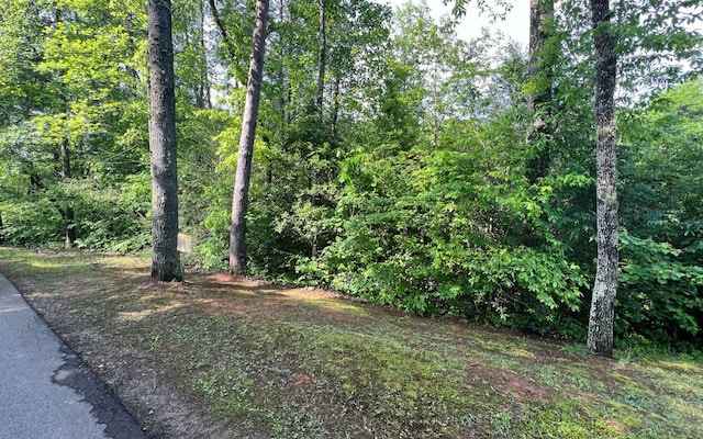 Listing photo 3 for LOT4 Chestnut Oaks Dr, Murphy NC 28906