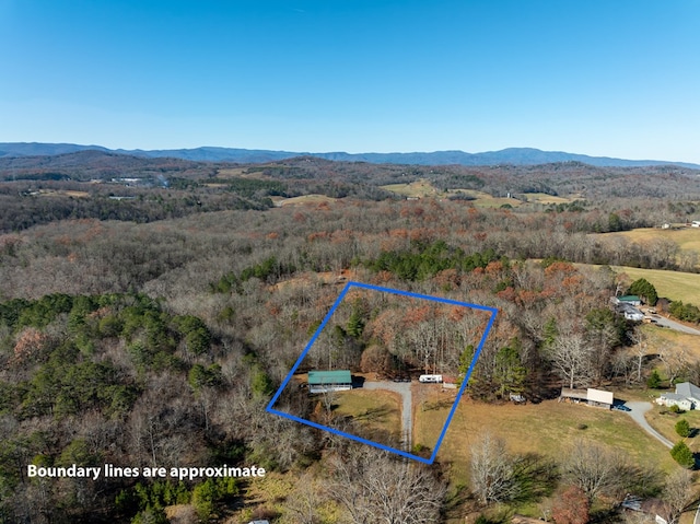 drone / aerial view featuring a mountain view