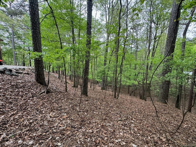 LOT1833 Newport Dr, Ellijay GA, 30540 land for sale