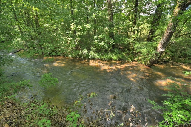 4527 Gates Chapel Rd, Ellijay, GA 30540 - view of woods