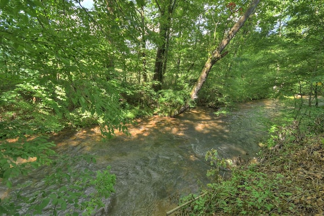 4527 Gates Chapel Rd, Ellijay, GA 30540 - view of wooded area