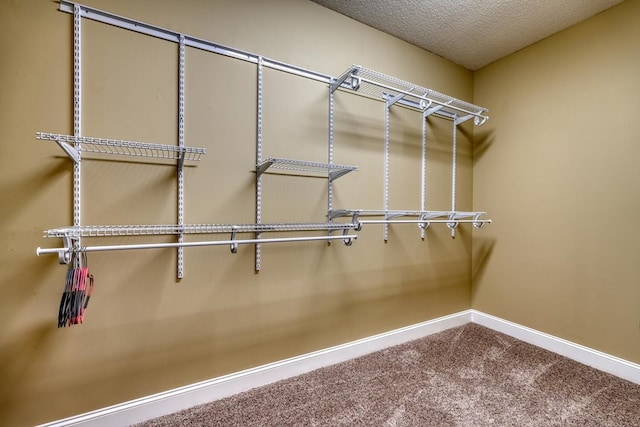 walk in closet with carpet floors