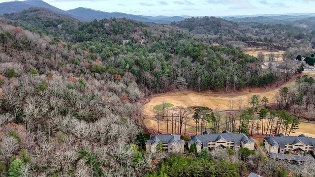 bird's eye view featuring a mountain view