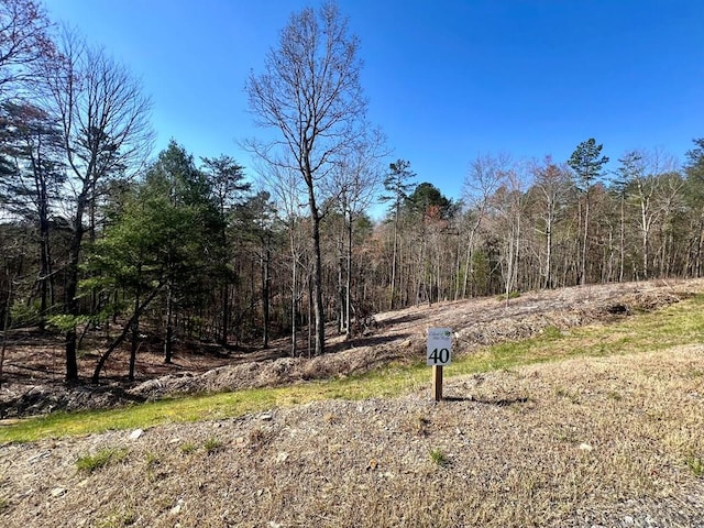 LOT40 Mountain Laurel Rdg, Mineral Bluff GA, 30559 land for sale