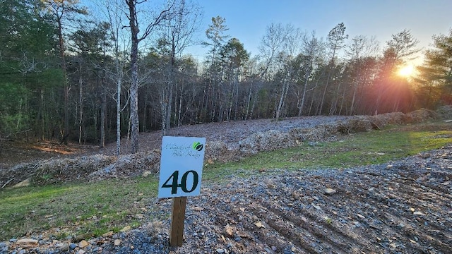 Listing photo 2 for LOT40 Mountain Laurel Rdg, Mineral Bluff GA 30559