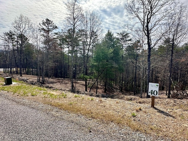 Listing photo 3 for LOT40 Mountain Laurel Rdg, Mineral Bluff GA 30559