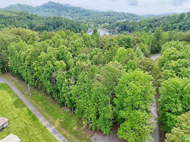 LOT14 E Old Highway 64e, Hayesville, NC 28904