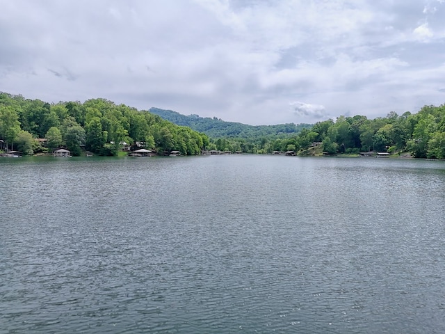 LOT14 E Old Highway 64e, Hayesville, NC 28904