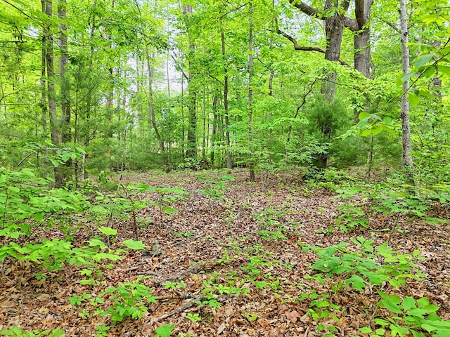 LOT14 E Old Highway 64e, Hayesville, NC 28904