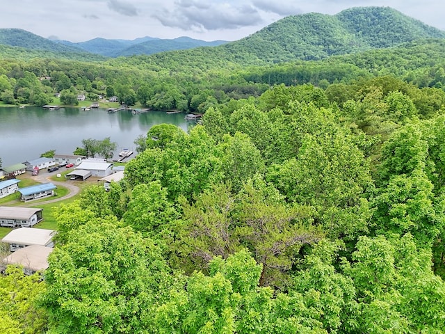 LOT14 E Old Highway 64e, Hayesville, NC 28904